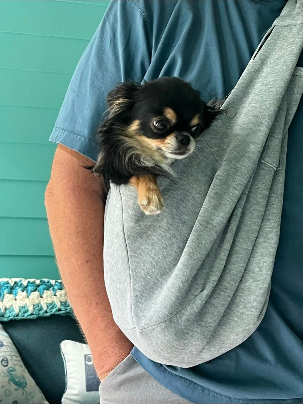 Light Gray Pet Sling Carrier - Cozy Hands-Free Dog Sling